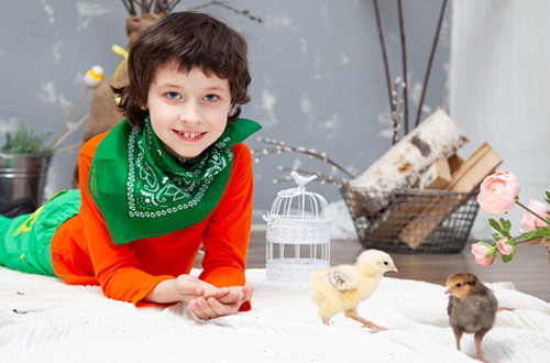 Декабрь, 1-я и 2-я неделя. Домашние птицы. Развитие речи детей 4-7 лет. Логопедические задания