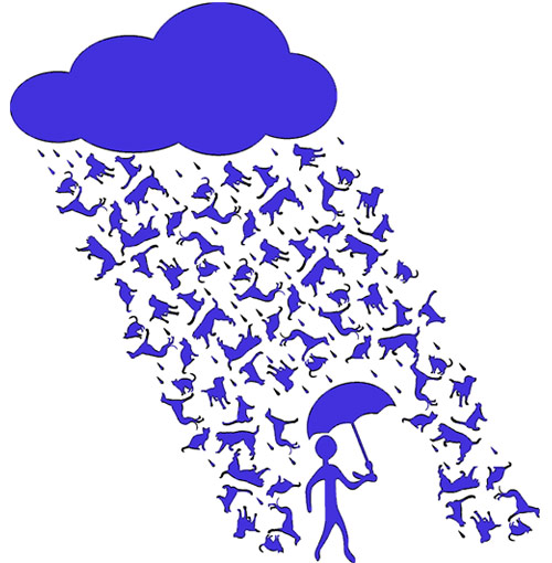 It's raining cats and dogs – Идёт дождь из кошек и собак. Занимательная физика