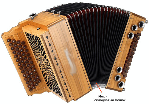 Аккордеон — музыкальный инструмент с мехом. Занимательная физика