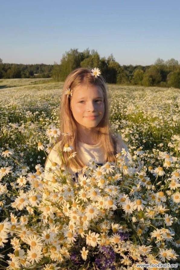 Ромашковое поле