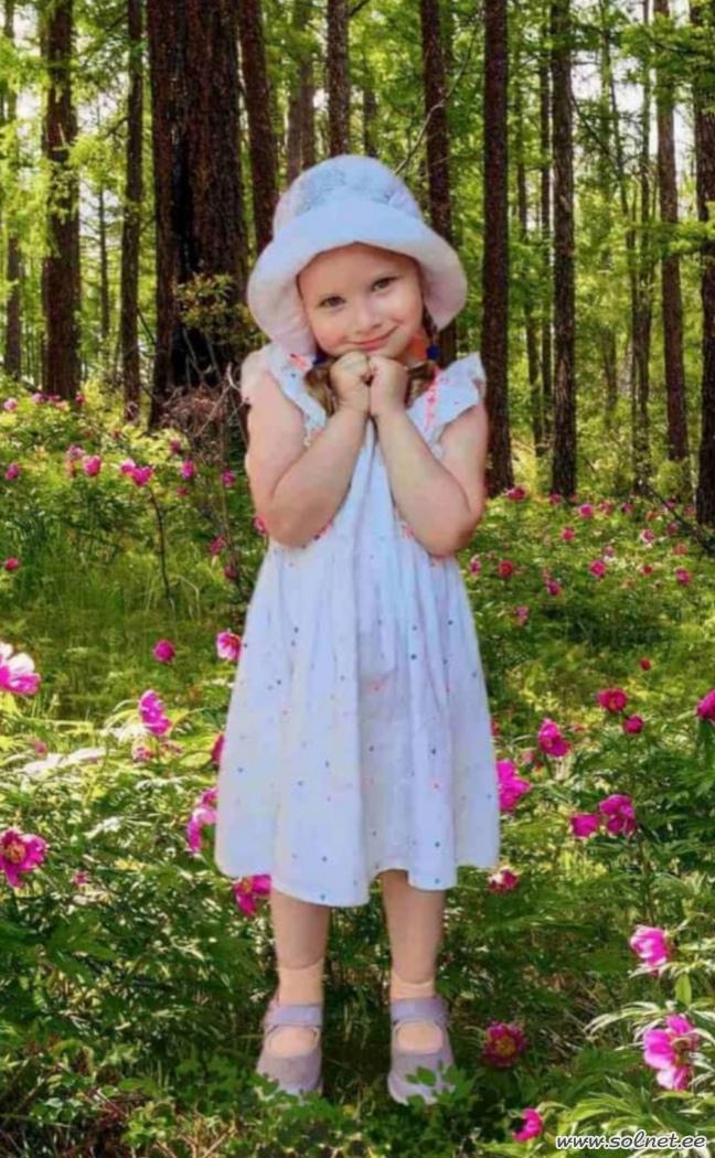 Лето в лесу