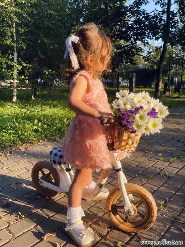 Вечерняя прогулка