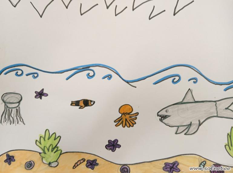 Подводный мир