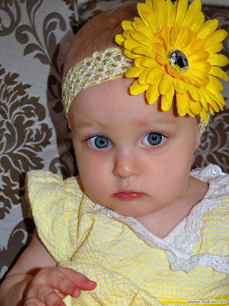 Солнечный цветок