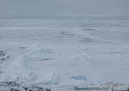 Арктика, Северный полюс