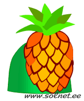 Шляпа-ананас