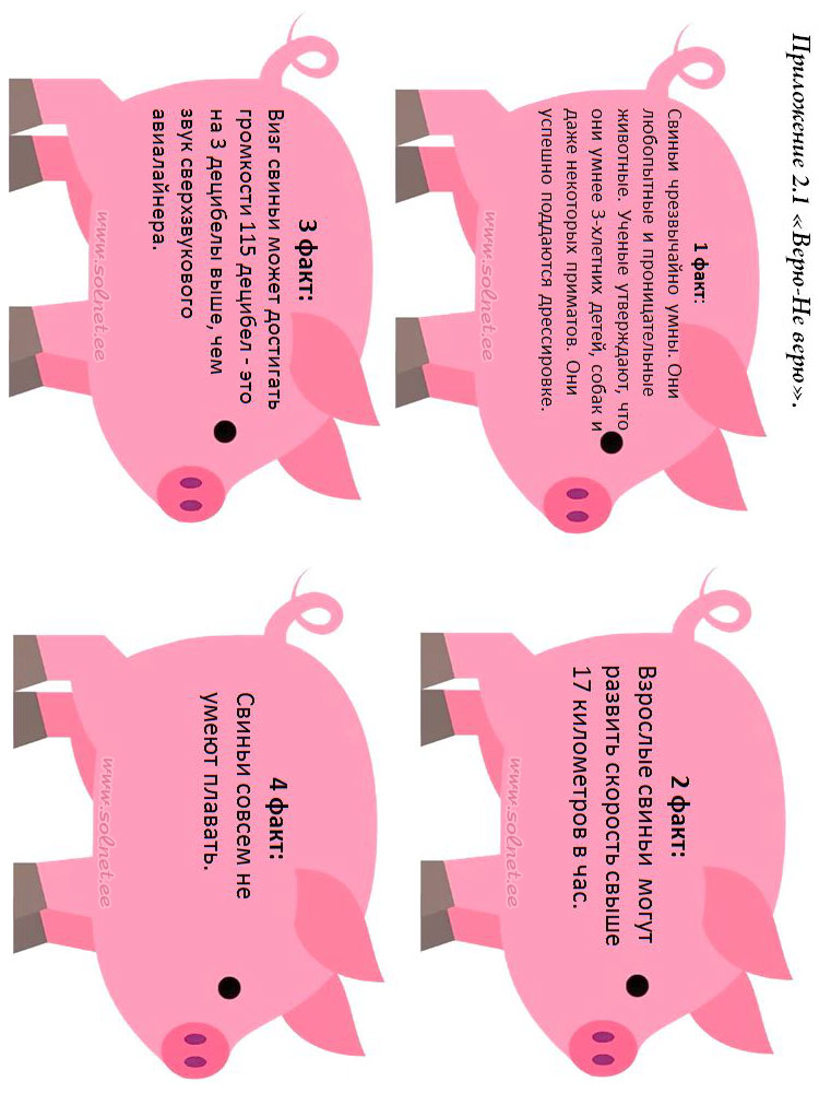 Интересные факты о свинках. Верю - не верю
