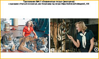 Викторина Знаменитые тигры. Приложение к новогоднему сценарию  Усатый-полосатый, или Встречаем год тигра