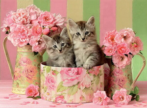 Пазл Котята с розами