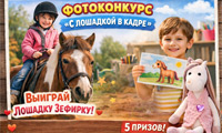 Фотоконкурс С лошадкой в кадре