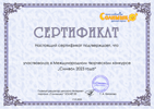 Сертификат участника конкурса Символ 2023 года