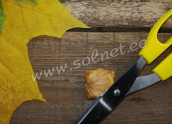 Осенняя куколка из кленовых листьев, мастер-класс
