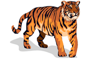 Как раскрасить тигра для панно или плаката, мастер-класс