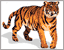 Как раскрасить тигра