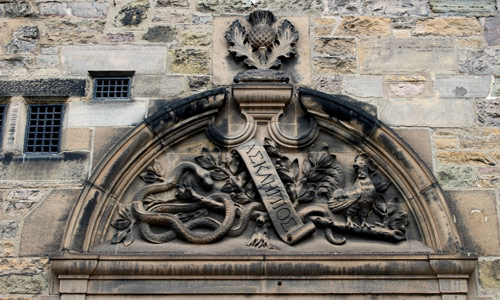Цветок чертополоха украшает древний шотландский замок. Занимательная физика