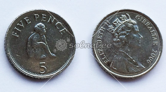 Монета Гибралтара. Интересные факты о маготах