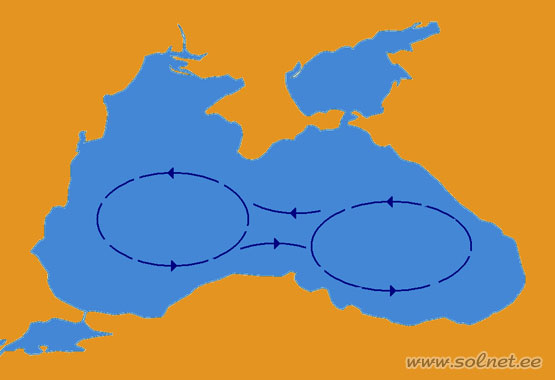 Основные течения в Чёрном море, «Очки Книповича». Океанология для малышей