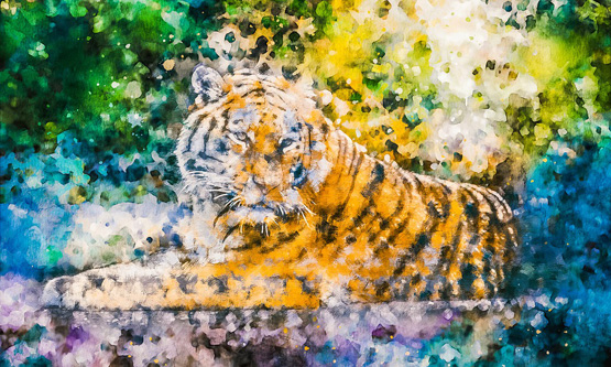 Обращение к тигру. Новогодние стихи